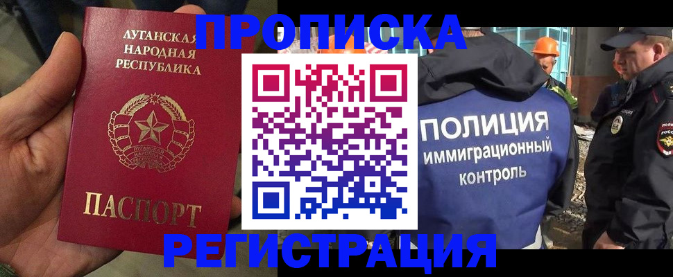 прописка поиск в Щёлкино